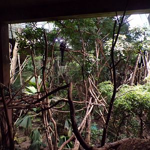 Amazon mixed enclosure 11.2.25