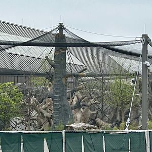 Tropical Forests- South American Monkey construction update