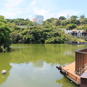 Okinawa Zoo lake
