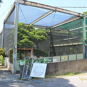 Okinawa Zoo - Ryukyu area aviary