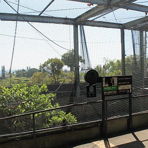 Okinawa Zoo - Ryukyu area aviary