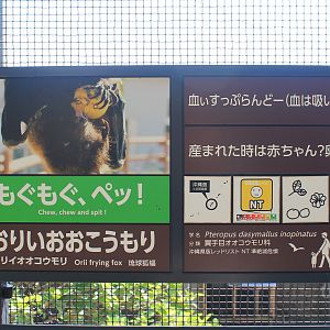 Okinawa Zoo - signage example