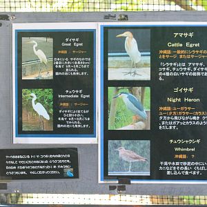 Okinawa Zoo - waterbird signage