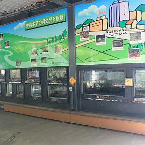 Okinawa Zoo - ectotherm tanks