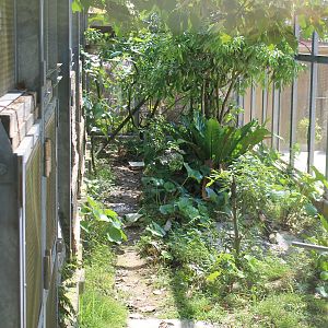 Okinawa Zoo - aviary