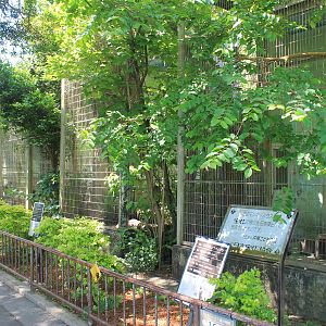 Okinawa Zoo - small cages