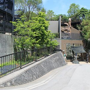 Okinawa Zoo - Asiatic Black Bear enclosure
