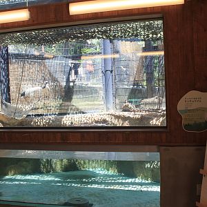 Okinawa Zoo - Eurasian Otter enclosure