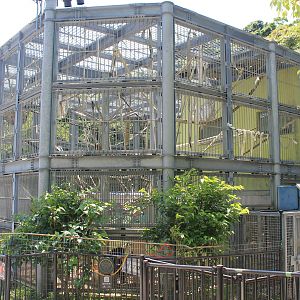Okinawa Zoo - Chimpanzee cage