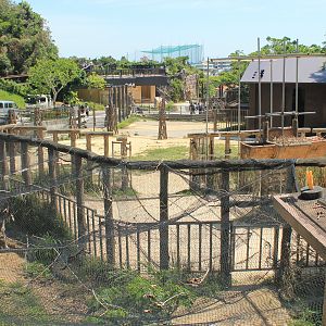 Okinawa Zoo - Giraffe enclosure