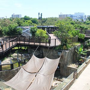 Okinawa Zoo - "Unexplored Areas of Hunters"