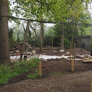 Renovation of one of the Asian aviaries near the Asiatic lion exhibit, 2025-04-26