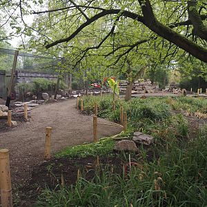 Renovation of the Asian aviaries and the walkway near the Asiatic lion exhibit, 2025-04-26