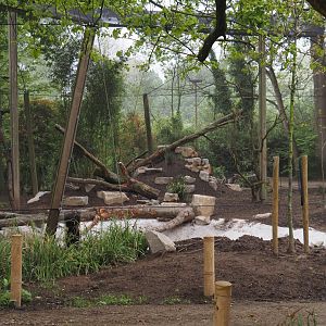 Renovation of one of the Asian aviaries near the Asiatic lion exhibit, 2025-04-26