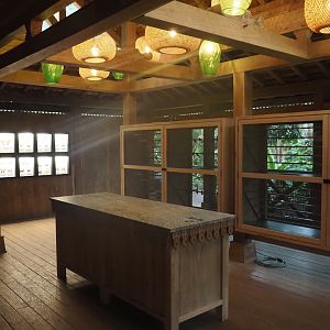 New table and chrysalis hatching cases in the orangutan greenhouse, 2025-04-26