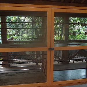 New chrysalis hatching case in the orangutan greenhouse, 2025-04-26