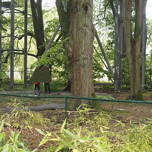 Construction for new playground area underneath the tree-top walk, 2025-04-26