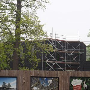 Construction of new entrance, 2025-04-26