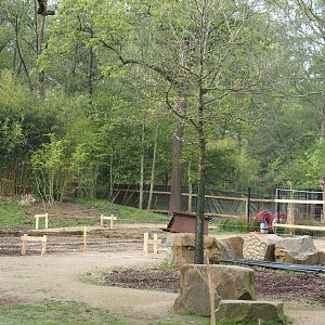 Construction of a new stable for red river hogs between Mountain bongo and Somali wild donkey paddocks, 2025-04-26