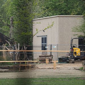 Construction of a new stable for red river hogs between Mountain bongo and Somali wild donkey paddocks, 2025-04-26