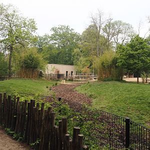 Construction of a new stable for red river hogs between Mountain bongo and Somali wild donkey paddocks, 2025-04-26