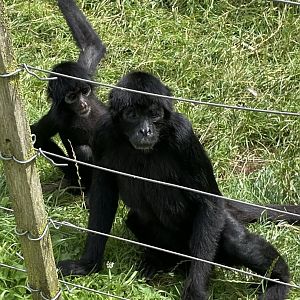 “ He’s right behind me isn’t he”?