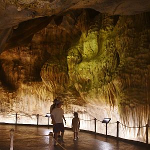 Rainforest Wild Asia - Cavern