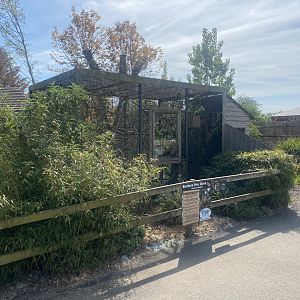 Northern treeshrew exhibit 280425