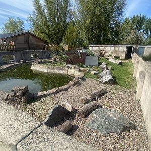 American beaver exhibit 280425