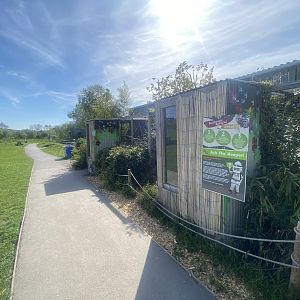 Pardine genet exhibit 280425