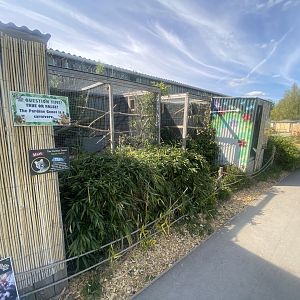 Pardine genet exhibit 280425