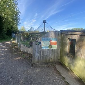 Kirk’s dik-dik enclosure 280425