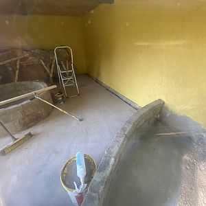 Indoors of building next to Kirk’s dik-dik 280425