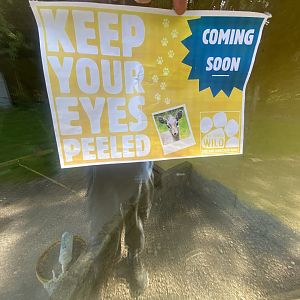 Signage on building next to Kirk’s dik-dik 280425