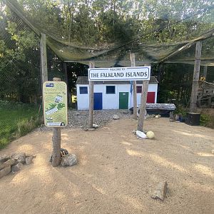 Striated caracara aviary 280425