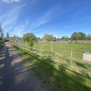 Chapman’s zebra enclosure 280425