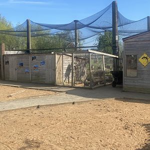 Outback Trail aviary 280425