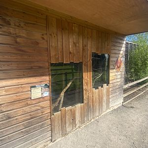 Exhibits for Boyd’s forest dragon 280425