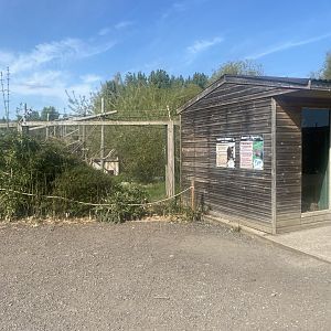 Enclosure for Common squirrel monkeys and Azara’s agoutis 280425