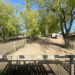 Domestic reindeer enclosure 280425