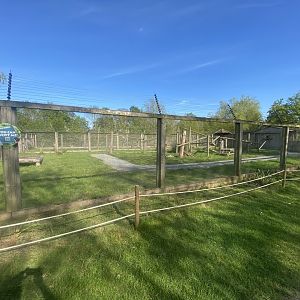 Lemur walkthrough 280425