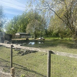 Capybara enclosure 280425