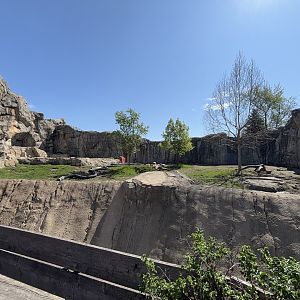 May 2025: Great Bear Wilderness middle yard construction