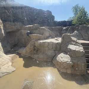 May 2025: Great Bear Wilderness middle yard empty pool