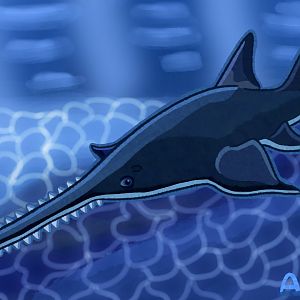 Largetooth Sawfish (2025 Redraw)