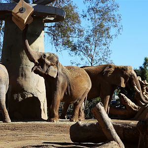 When Asia Meets Africa, December 2015