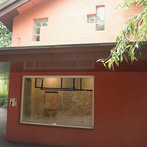 Lion-tailed macaque and Collared mangabey house, 2024-08-18