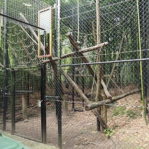 Separation cage for Lion-tailed macaques or Collared mangabeys, 2024-08-18