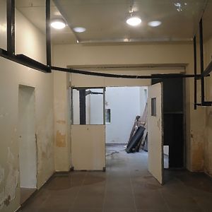 View inside the Lion-tailed macaque and Collared mangabey house, with ongoing renovations, 2024-08-18