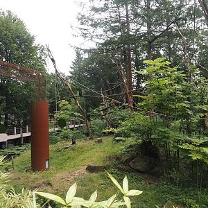 Lion-tailed macaque island, 2024-08-18
